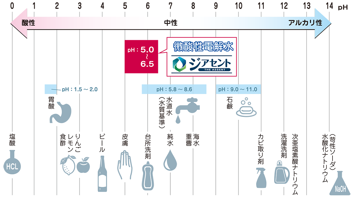 グラフ：水中有効塩素存在比率とpH値